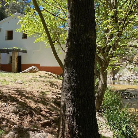 Casa Rural Molino Jaraiz Yeste Kültér fotó